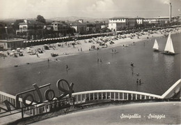 SENIGALLIA - PANORAMA - 3276 - Senigallia