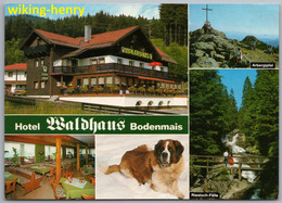 Bodenmais - Hotel Waldhaus 1   Mit Bernhardiner Hund - Bodenmais