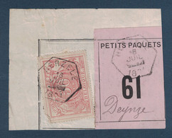 FRAGMENT Avec ETIQUETTE PETITS PAQUETS TIMBRE CHEMINS DE FER CACHET HERZELE > DEYNZE 1891 - Documenti & Frammenti
