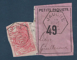 FRAGMENT Avec ETIQUETTE PETITS PAQUETS TIMBRE CHEMINS DE FER CACHET JAUCHE > LIEGE 1887 - Documentos & Fragmentos