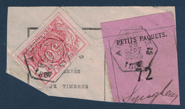 FRAGMENT Avec ETIQUETTE PETITS PAQUETS TIMBRE CHEMINS DE FER CACHET ANSEGHEM 1887 - Documenten & Fragmenten