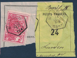 FRAGMENT Avec ETIQUETTE PETITS PAQUETS TIMBRE CHEMINS DE FER CACHET WASMES > LANDEN 1887 - Documentos & Fragmentos