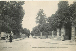 BEAUCHAMPS-avenue Des Bois De Beauchamps - Beauchamp