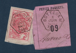 FRAGMENT Avec ETIQUETTE PETITS PAQUETS TIMBRE CHEMINS DE FER CACHET PERUWELZ 1889 - Documenten & Fragmenten