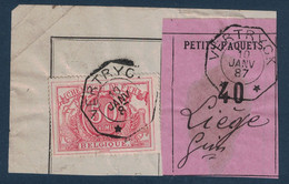 FRAGMENT Avec ETIQUETTE PETITS PAQUETS TIMBRE CHEMINS DE FER CACHET VERTRYCK > LIEGE 1887 - Documenten & Fragmenten