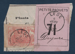 FRAGMENT Avec ETIQUETTE PETITS PAQUETS TIMBRE CHEMINS DE FER CACHET LEDE > DEINZE 1891 - Documenti & Frammenti