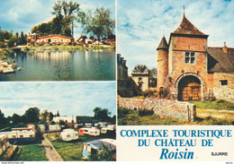 Roisin / Honnelles - Complexe Touristique Du Château De Roisin - Kasteel * - Honnelles