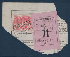 FRAGMENT Avec ETIQUETTE PETITS PAQUETS TIMBRE CHEMINS DE FER CACHET RECTANGULAIRE BRUXELLES MIDI 1891 - Dokumente & Fragmente