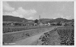 Tartegnins Sur Rolle 1932 - Rolle