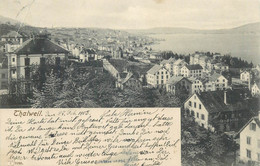 Postcard Switzerland Thalweil 1903 Panorama - Thal