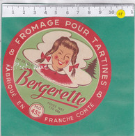 A2388 FROMAGE FONDU 8 PORTIONS BERGERETTE  BESANCON DOUBS - Cheese