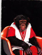 Cpa  Humour Animalier Humanisés Singe Chimpanzé Assis Dans Un Fauteuil Vintage - Animali Abbigliati