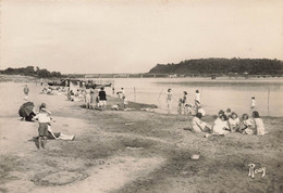 OUDON - Vue Sur La Plage Au Bord De La Loire - Oudon