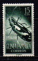 GUINEA SPAGNOLA - 1953 - Tragocephala Nobilis - USATO - Guinea Española