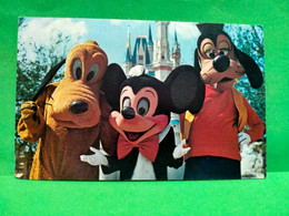 ! - STATI UNITI -CARTOLINA DI DISNEY WORLD FLORIDA ORLANDO MICKEY PLUTO GOOFY CASTLE - Orlando