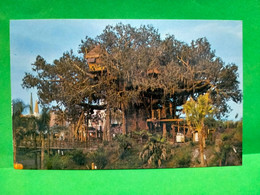 ! - ITALIA -CARTOLINA LA SWISS FAMILY ISLAND TREEHOUSE - Orlando