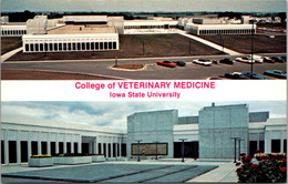 Iowa Ames College Of Veterinary Medicine Iowa State University - Ames