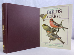 Lansdowne's Birds Of The Forest. Birds Of The Eastern Forest ( Volume 1 & 2 ) And Birds Of The Northern Forest - Animales