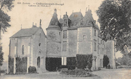 22-6583 : DANGE PRES CHATELLERAULT. CHATEAU DE PIOLANT - Dange Saint Romain