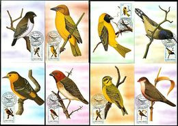 1983 Sao Tome Bird,Vögel,Oiseau,Aves,Ucelli,Owl,Cuckoo,Dove,Oriole,21 Maxi Cards - Kuckucke & Turakos