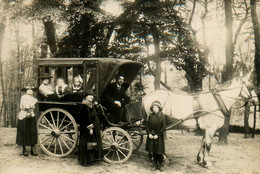 Le Plessis Robinson * Carte Photo * Attelage Diligence Calèche Cocher Cheval - Le Plessis Robinson