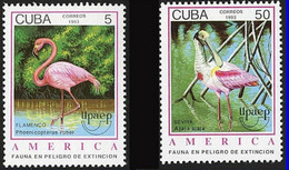 Cuba 1993 - 2 Valeurs "Flamand Rose Et Spatule" Neuf MNH** - Flamants