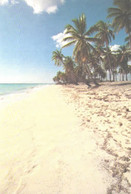 Republica Dominicana:Playuela (Samana) Beach - Repubblica Dominicana