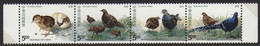 Chine - Série Complète 4 Valeurs "Perdrix Et Faisan" Neuf MNH** - Perdiz Pardilla & Colín