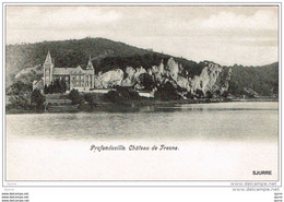 PROFONDEVILLE - Château De Fresne - Kasteel - Profondeville