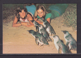 AUSTRALIA - Phillip Island Penguins Unused Prepaid Postage Postcard As Scans - Otros & Sin Clasificación