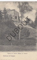 Postkaarte/Carte Postale - Tongres - Ruines De L'ancien Château De Colmont   (C2659) - Tongeren