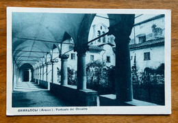 CAMALDOLI (AREZZO) - PORTICO DEL CHIOSTRO - VIAGGIATA IL 30/8/29  - P.F.253 - 389 - Arezzo