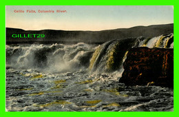 PORTLAND,OREGON - CELILO FALLS, COLUMBIA RIVER - PUB. BY LOUIS SCHEINER - - Portland