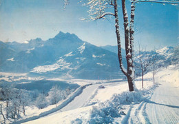 Postcard Switzerland Villars Dents Du Midi Winter - Villars-les-Moines
