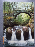 LA PITTORESQUE CASCADE DU SCHIESSENTUMPEL AU MULLERTHAL - Müllerthal