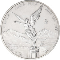 Monnaie, Mexique, Onza, Troy Ounce Of Silver, 2011, Mexico City, FDC, Argent - Mexique