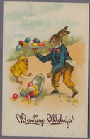 Lapin Humanisé , Humanized Rabbit, Bunny,  Hase , Chick ,Poussin Wesołego Alleluja Poland Pologne Ca.1935y.  H429 - Pasqua