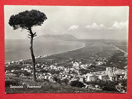 Cartolina - Terracina ( Latina ) - Panorama - 1952 - Latina