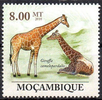 MOZAMBIQUE - 1v - MNH - Giraffes Giraffe Girafes Giraffen Girafe Giraffe Jirafa Jirafas - Mammals - Fauna Animals - Giraffen