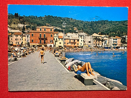 Cartolina - Riviera Dei Fiori - Laigueglia - Scorcio Panoramico Dal Molo - 1985 - Savona