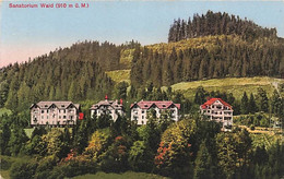 Sanatorium Wald - Wald