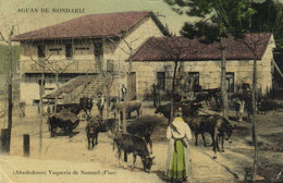 AGUAS DE MONDARIZ  ( Alrededores) Vaqueria De Sammil (Pias) Colorisée Toilée RV - Pontevedra