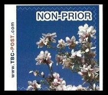 TBC POST - NON PRIOR** - Fleurs / Bloemen / Blumen / Flowers - Magnolia / Magnolie - Poste Privée / Privé-Post - Altri