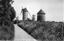 Mouilleron-en-Pareds Propriété Du Maréchal De Lattre De Tassigny Moulins à Vent - Mouilleron En Pareds