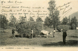 Chambéry * Challes * La Fenaison * Travail Aux Champs * Attelage De Boeufs Agricole Agriculture - Chambery