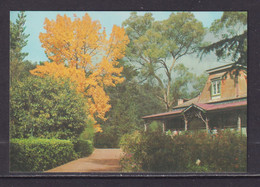 AUSTRALIA - Launceston Gorge Tea Rooms Unused Prepaid Postage Postcard As Scans - Lauceston