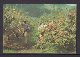 AUSTRALIA - Tasmanian Apple Orchard Unused Prepaid Postage Postcard As Scans - Other & Unclassified