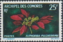 THEMATIC FLOWER - COMORES - Altri