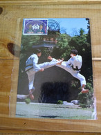 Taekwondo Maximum Card.ecuador 2002 Yv 1677.vicechamp World.1982 20 Years..canga.cedeño.e7 Reg Post Conmems 1 Or 2 Piece - Non Classés