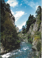 Les Alpes Pittoresques - Torrent Dans Les Gorges - Non écrite - Autres & Non Classés